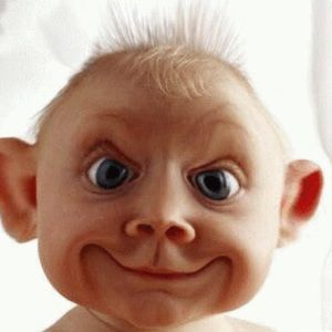 Meet your Posher, Evan